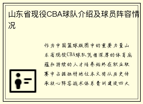 山东省现役CBA球队介绍及球员阵容情况