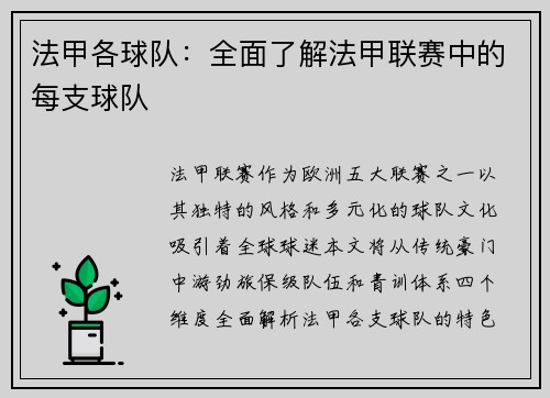 法甲各球队：全面了解法甲联赛中的每支球队